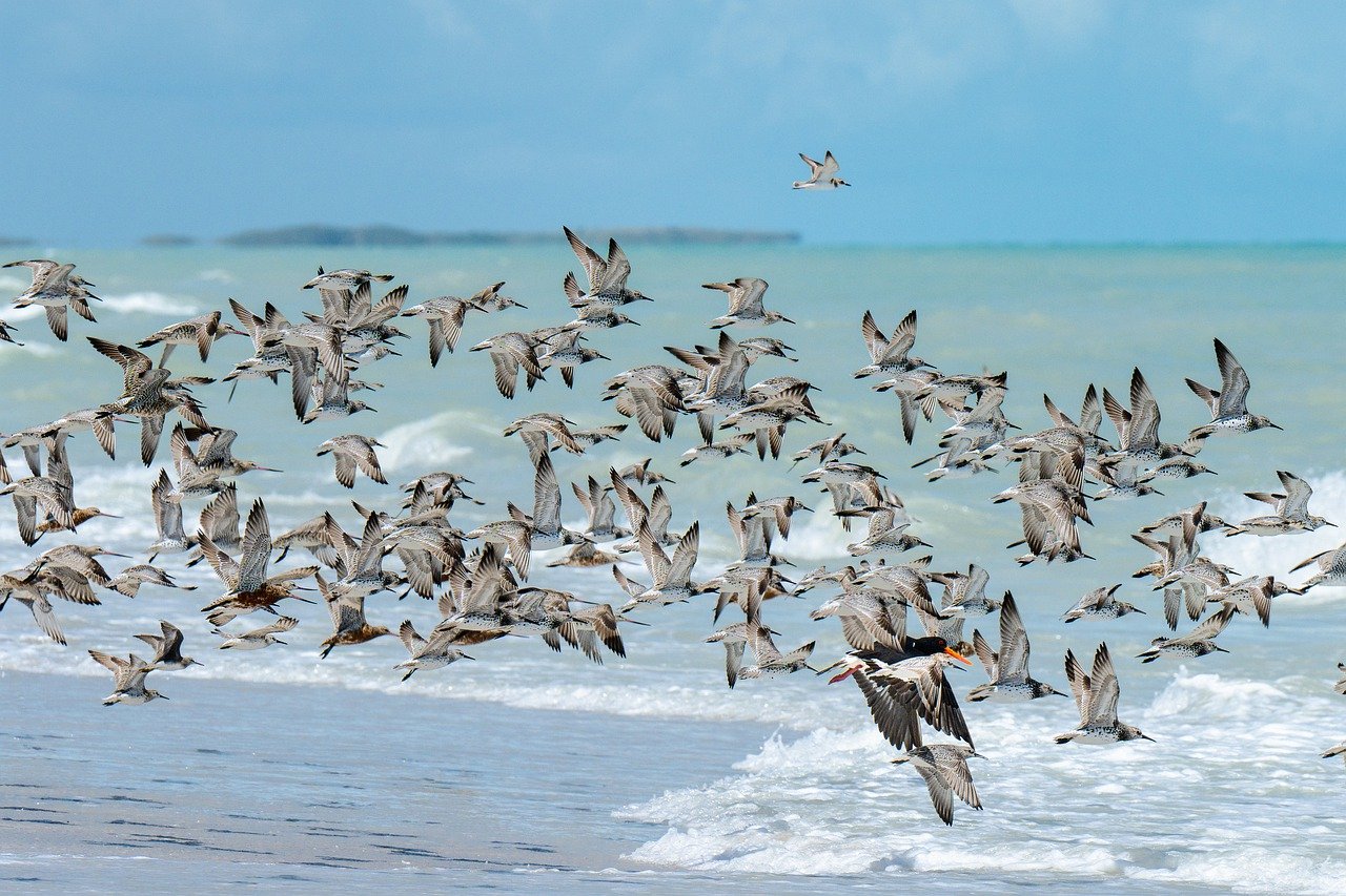 Ultimate 5-Day Broome Adventure with Iconic Sites and Culinary Delights